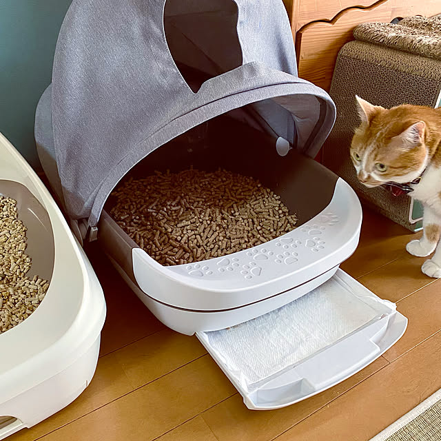 cocomaroさんの実例写真
