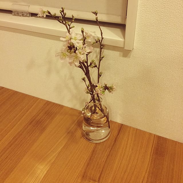 ouchiさんの実例写真