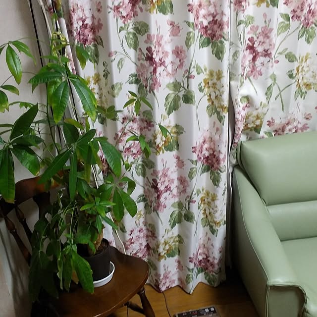 tomoko.tk1130Tomさんの実例写真