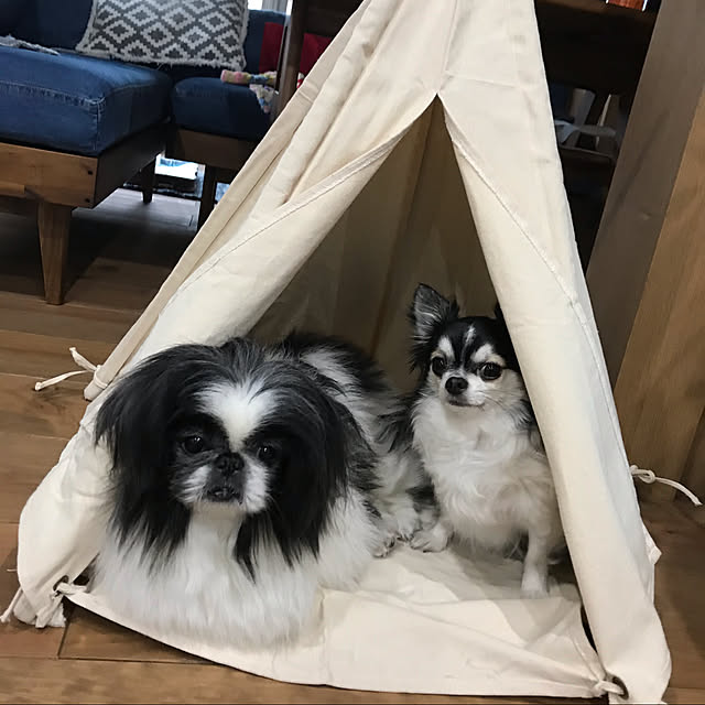 rinaさんの実例写真