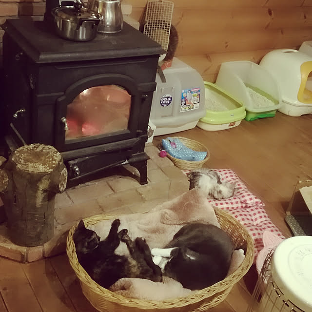 Maki-nekomamireさんの実例写真