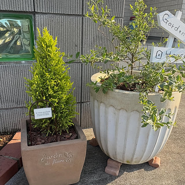 Haruさんの部屋