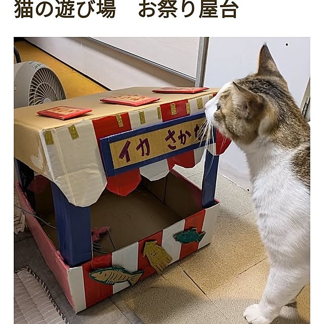 mori_6_12さんの部屋