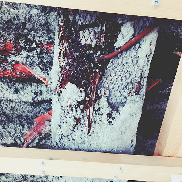 girusonさんの実例写真
