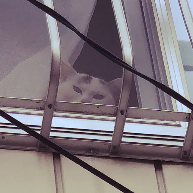 sunskysurfsandさんの実例写真