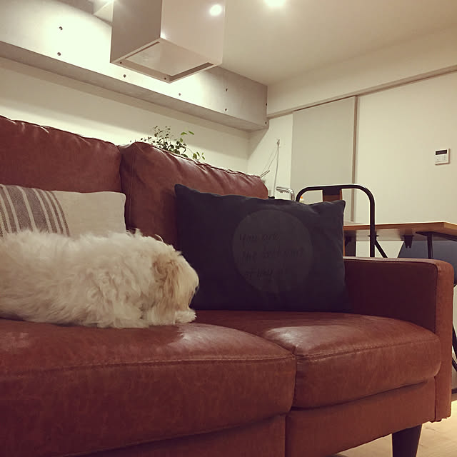 a4yaさんの実例写真