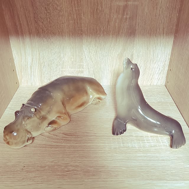 Shion+さんの実例写真