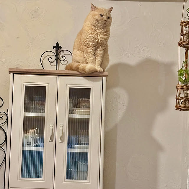 naokoさんの部屋