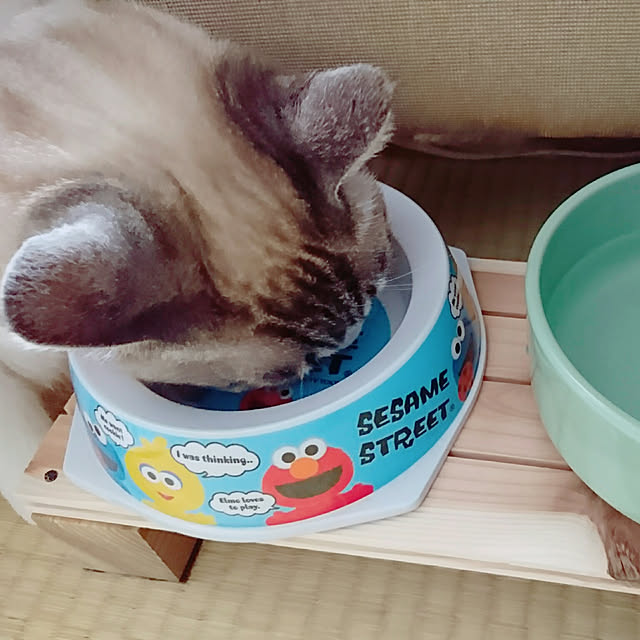 blueさんの実例写真