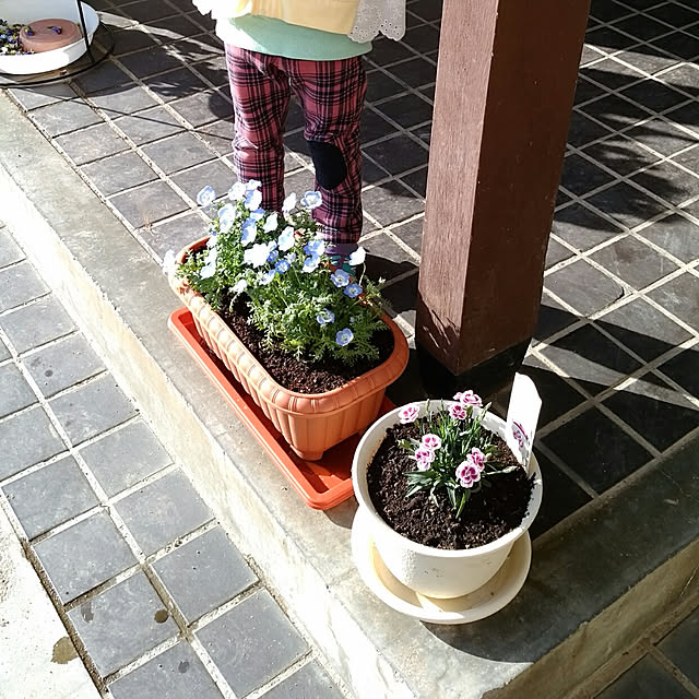 sacchiさんの実例写真