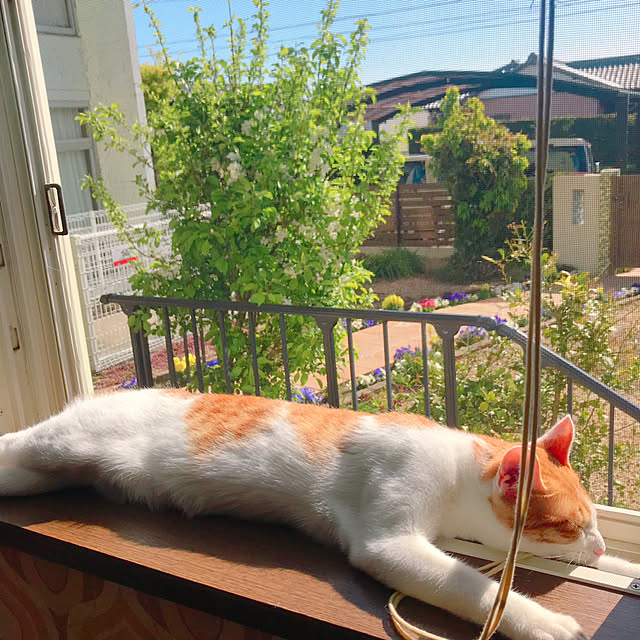 meさんの実例写真