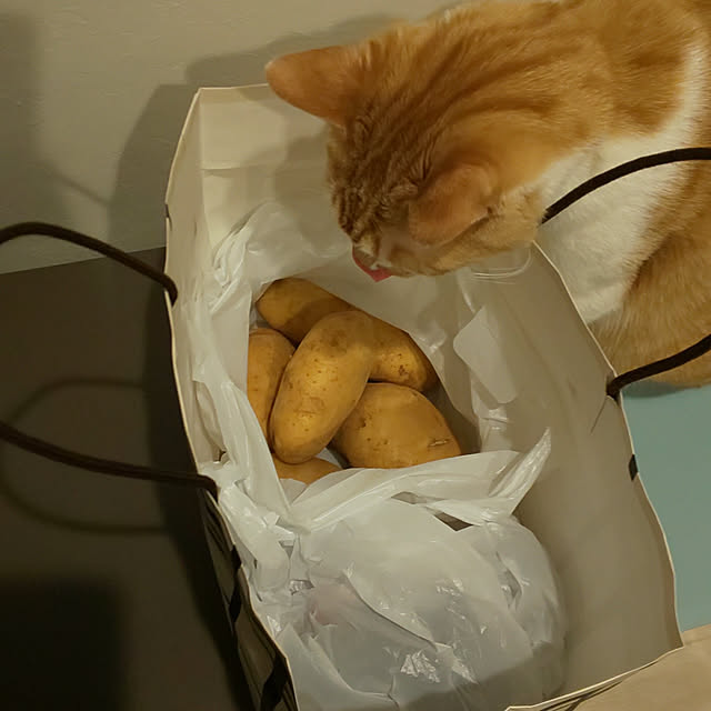 mihirouさんの実例写真
