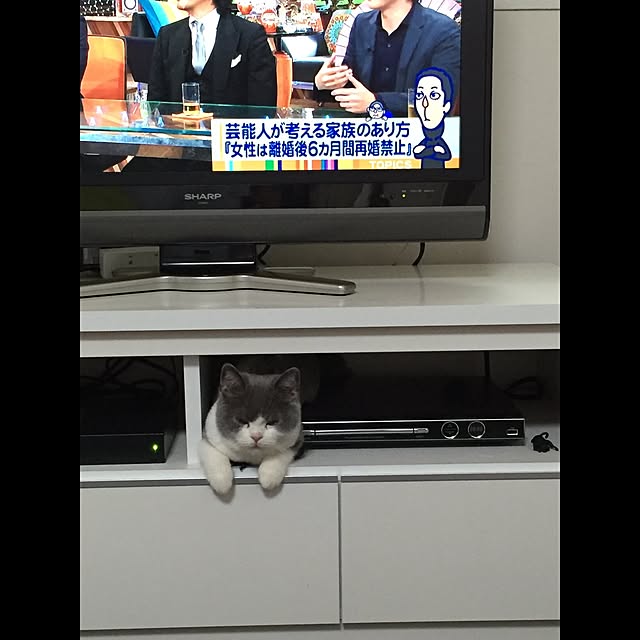 Yuriさんの実例写真