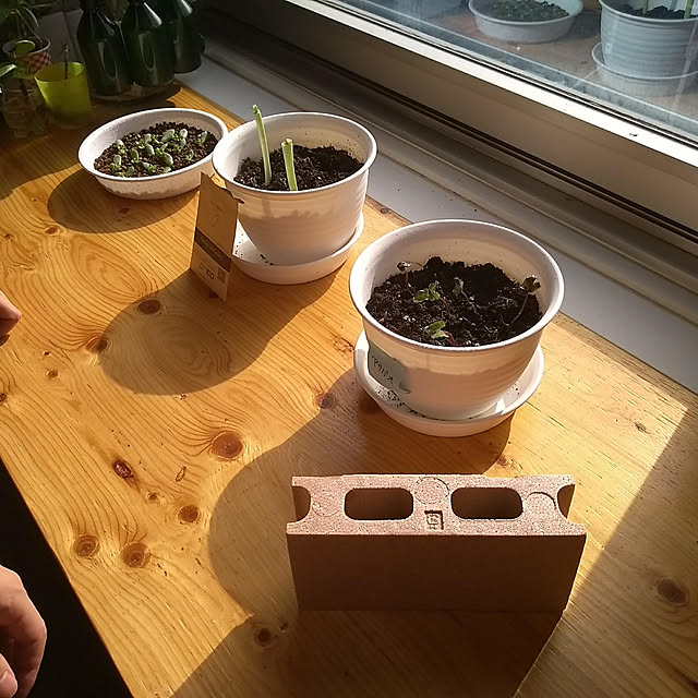 TanakanoAnchanさんの実例写真