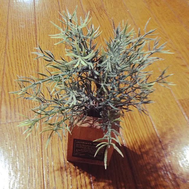 yumikichiさんの実例写真