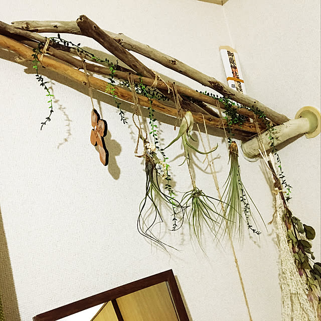 takuto.hamuraさんの実例写真