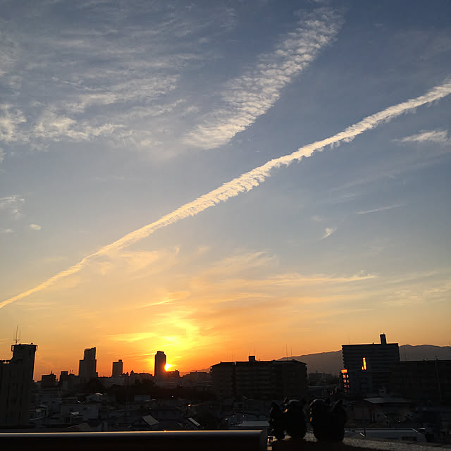 simple_blowbackさんの実例写真