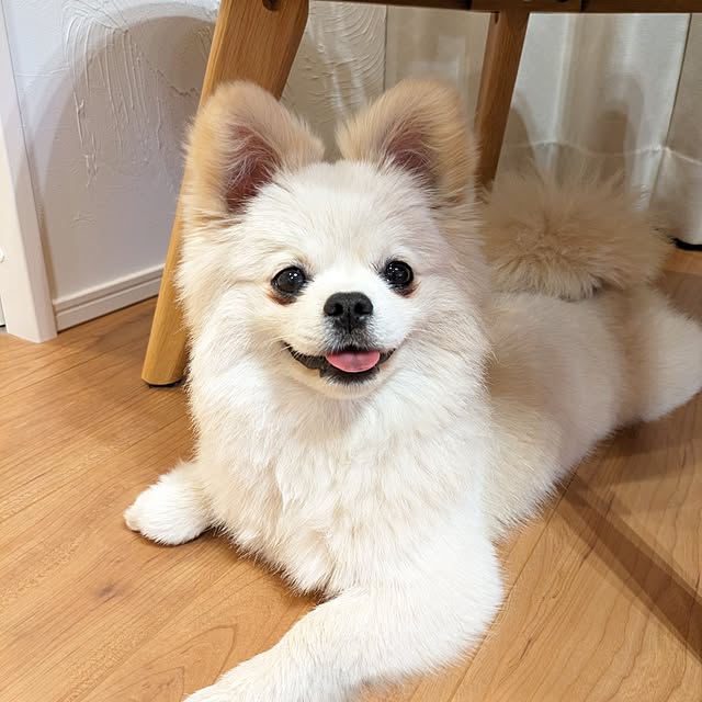 y.kkoさんの部屋