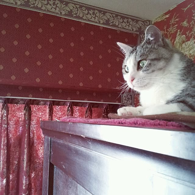 emmyyさんの実例写真