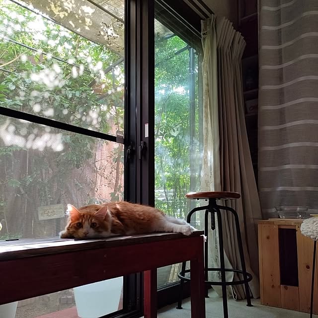 mori_6_12さんの実例写真