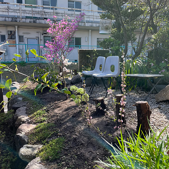 shin0719さんの部屋