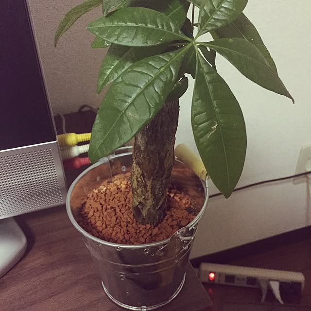 Takayukiさんの実例写真