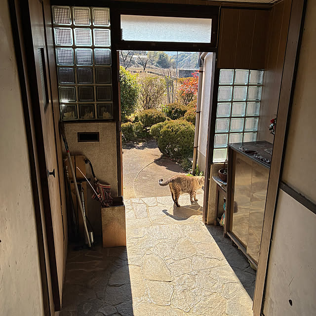 gecfrqxjjotjmdrtbgさんの実例写真