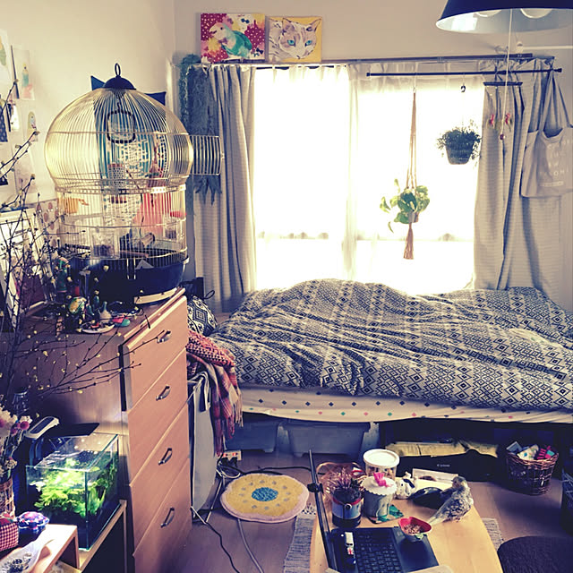 parrotさんの実例写真