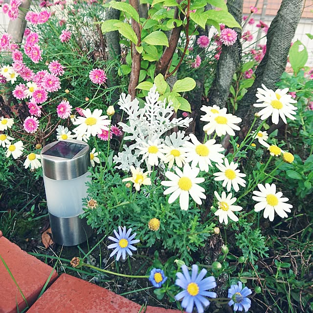 s_h_yさんの実例写真