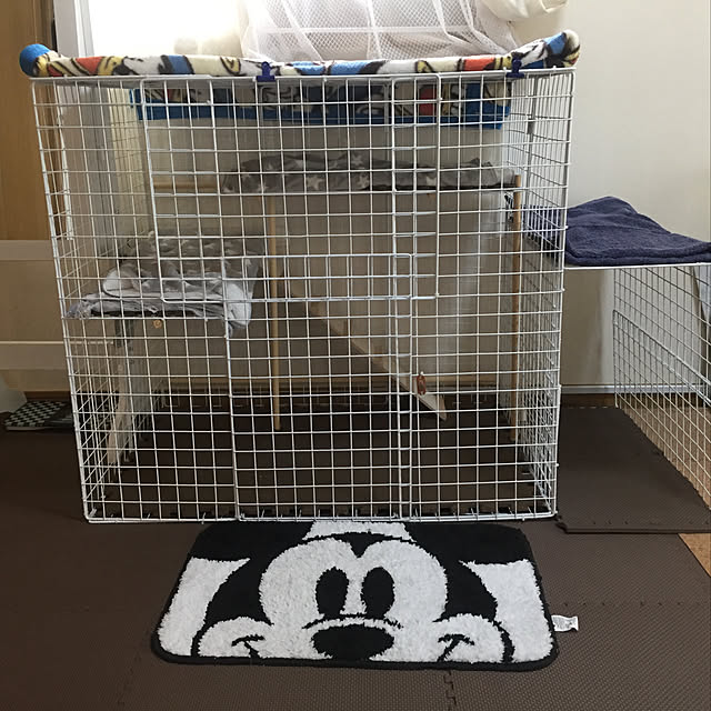 maric0さんの実例写真