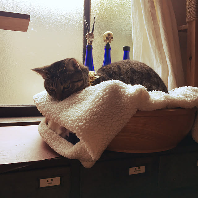 Mさんの実例写真