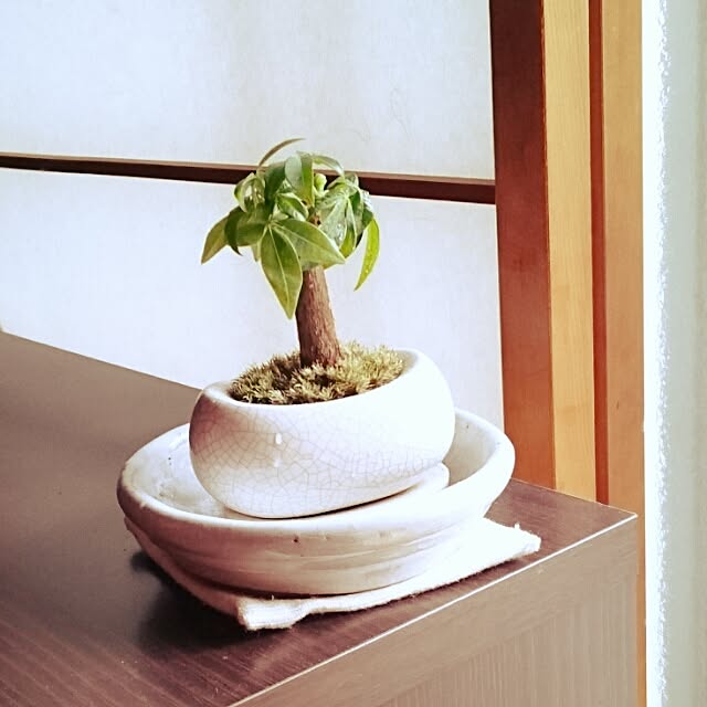 PEKOさんの実例写真