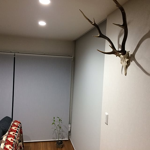 nao666coolさんの実例写真