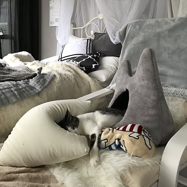 Shihoさんの実例写真