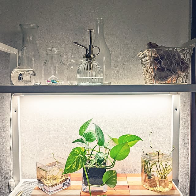 mi-saさんの部屋