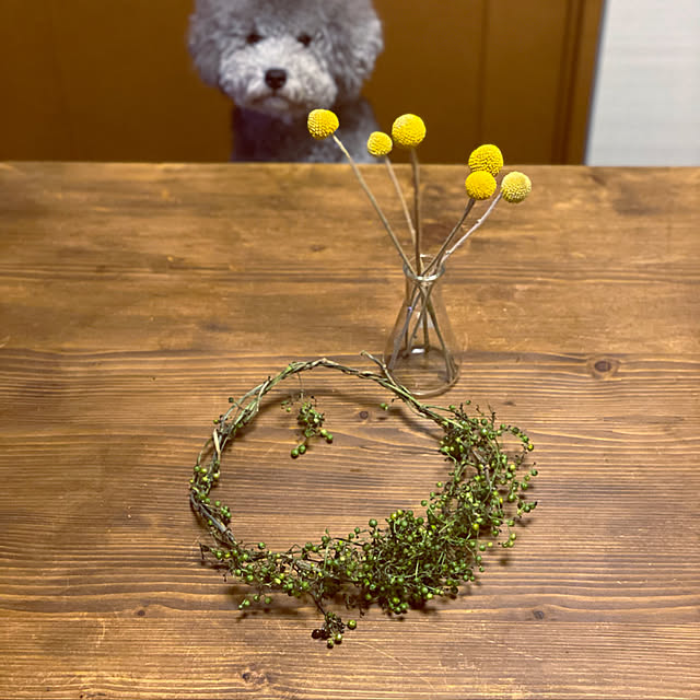 meguko.ryanさんの実例写真