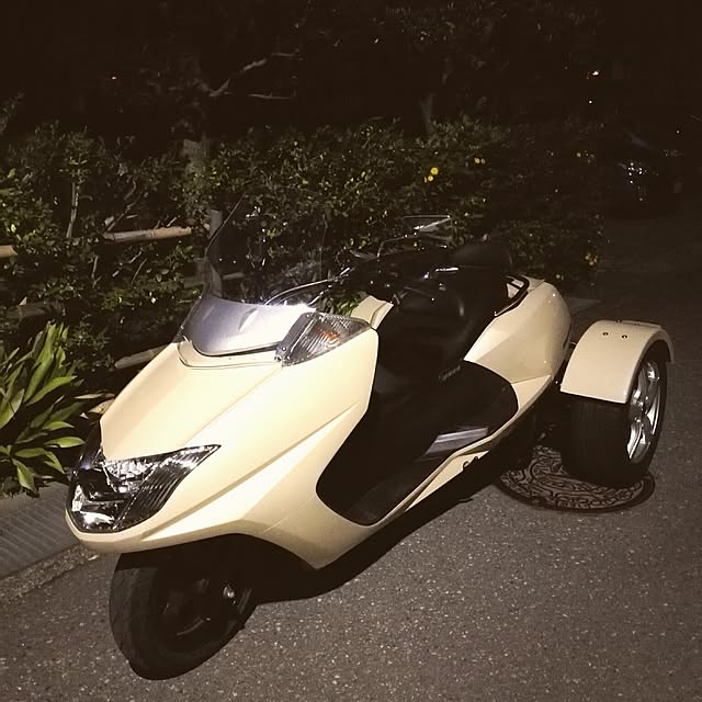 faunさんの実例写真