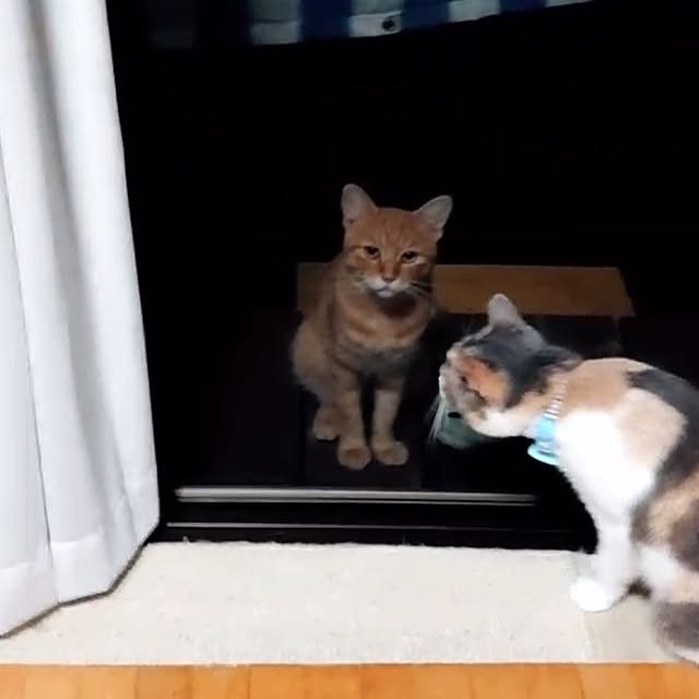 fukuさんの部屋