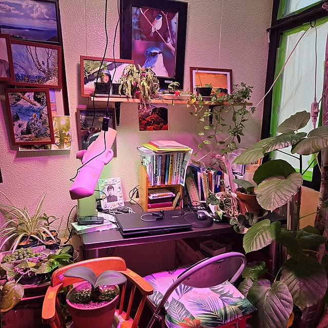 mitsuyama3136さんの実例写真