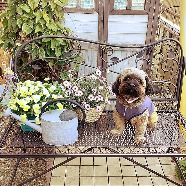 taeさんの実例写真
