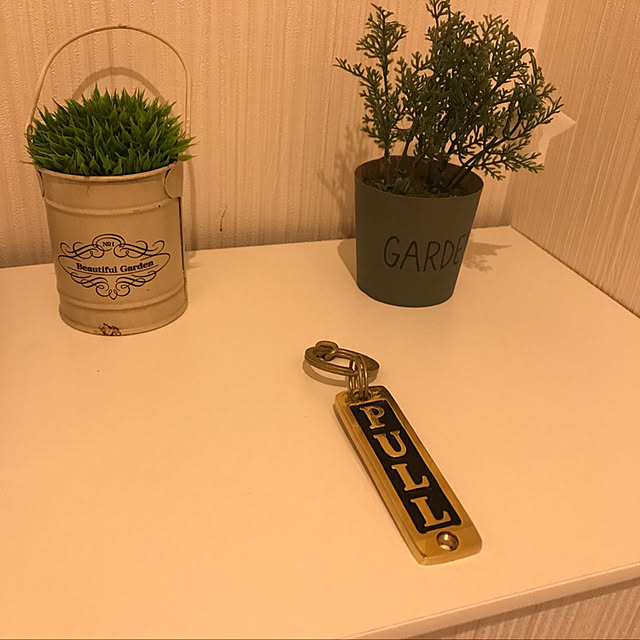 gahahameganeさんの実例写真