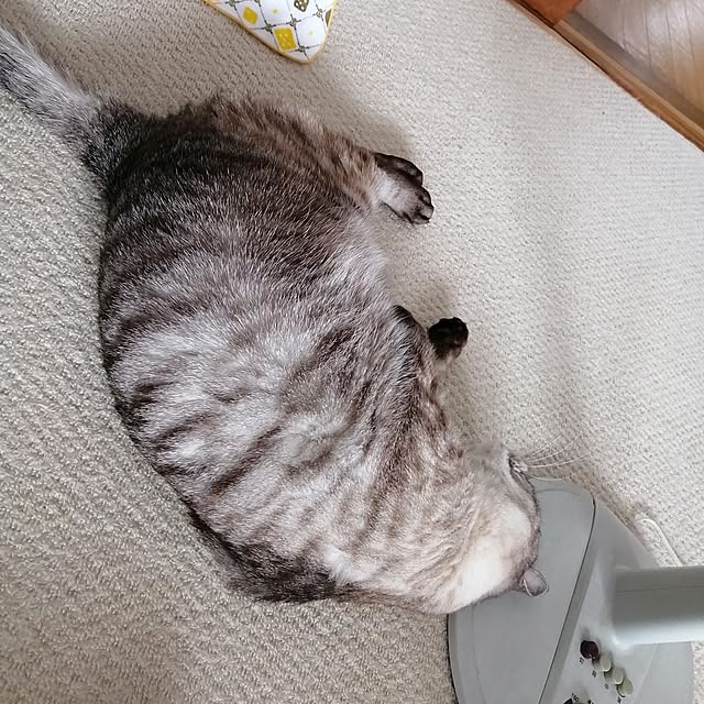 Manaさんの実例写真