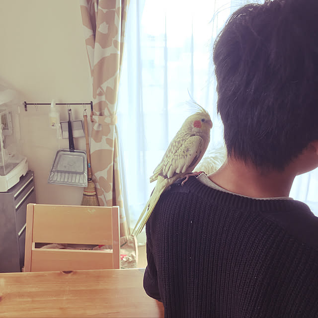 yuikonaさんの実例写真