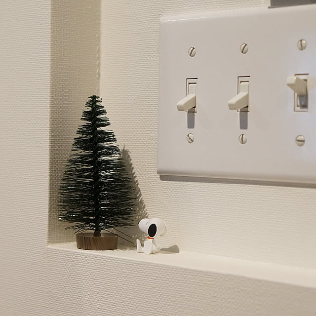 reiさんの実例写真