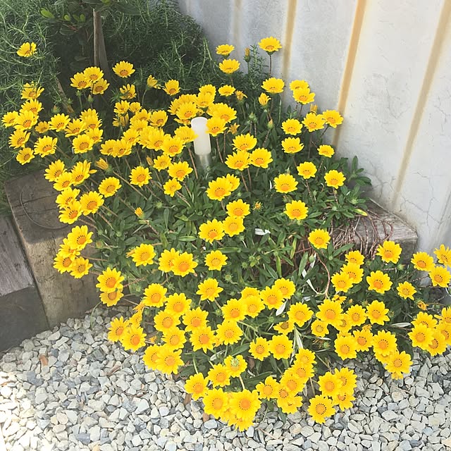 harumigaokaさんの実例写真