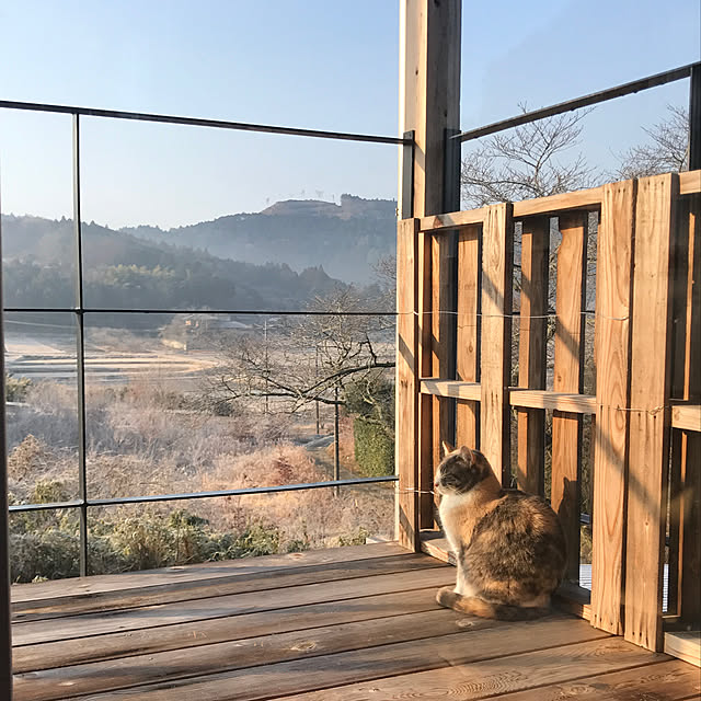 sakurasakuさんの実例写真