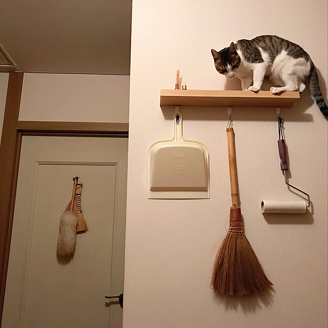 ttoさんの実例写真