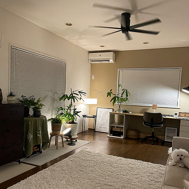 justyさんの部屋