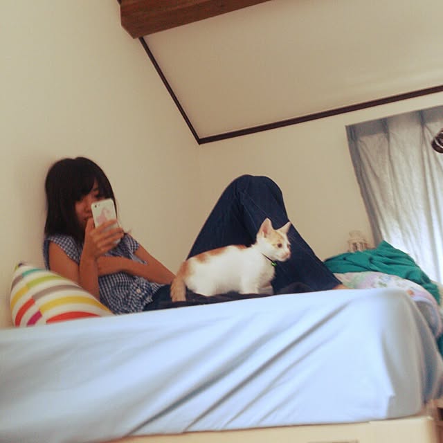 minkokoさんの実例写真