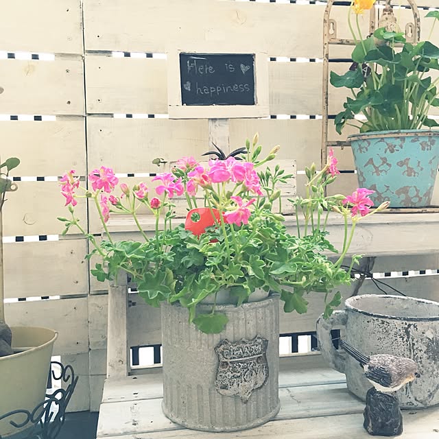 funiさんの実例写真